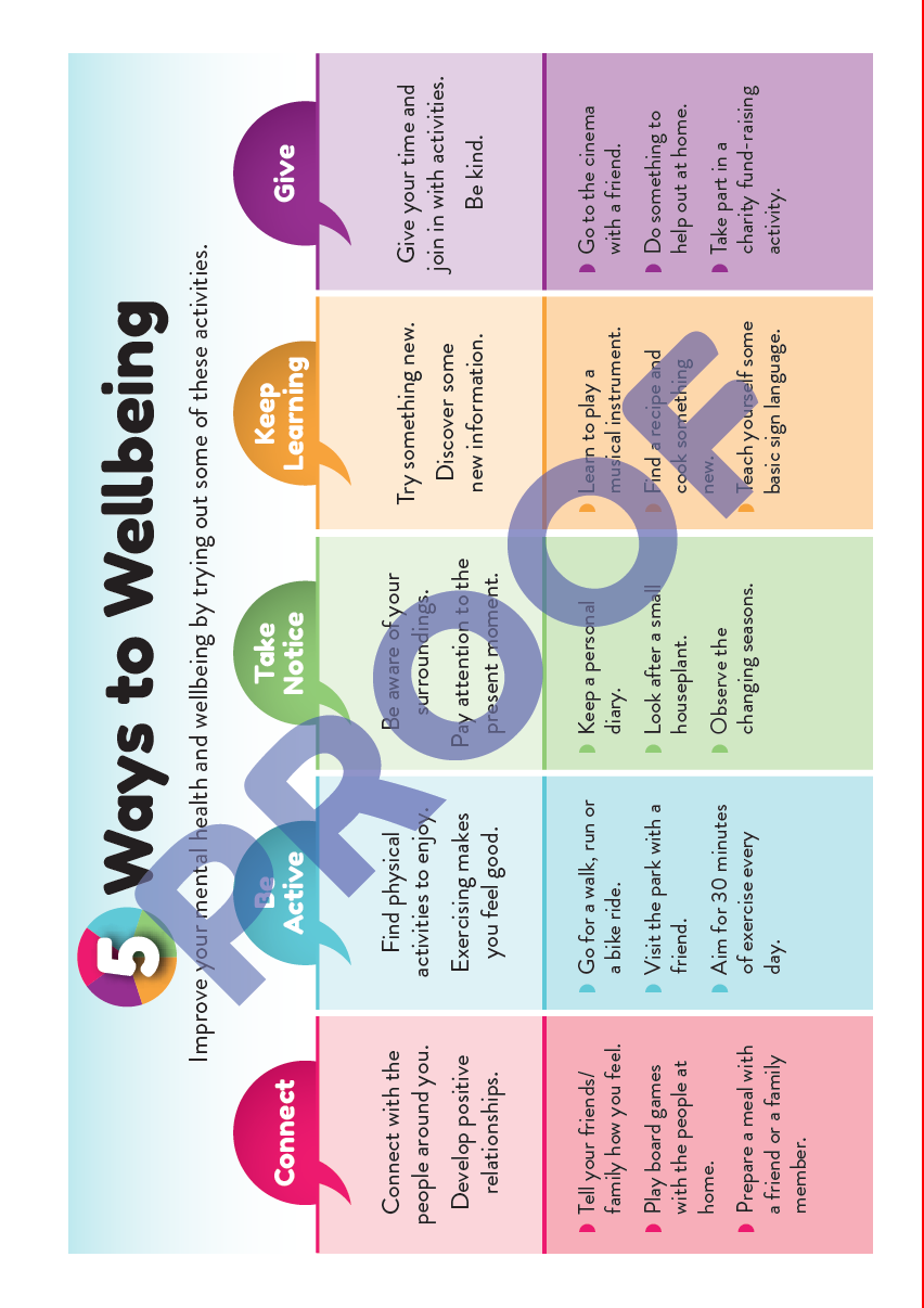 Bespoke Dated Student Planner - A5 size Spiral Bound
